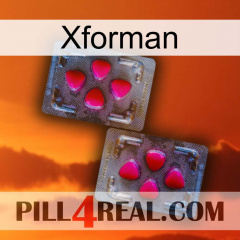 Xforman 15